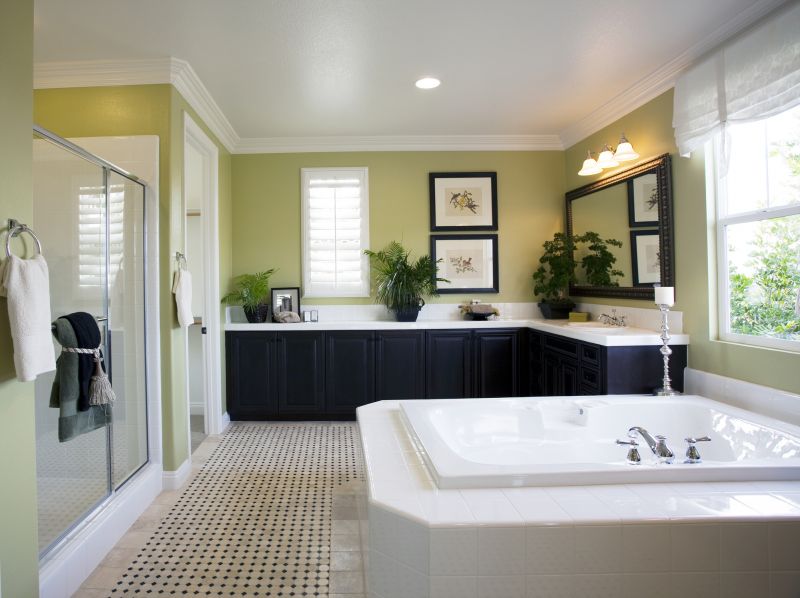 Elegant Bathtub with Surround